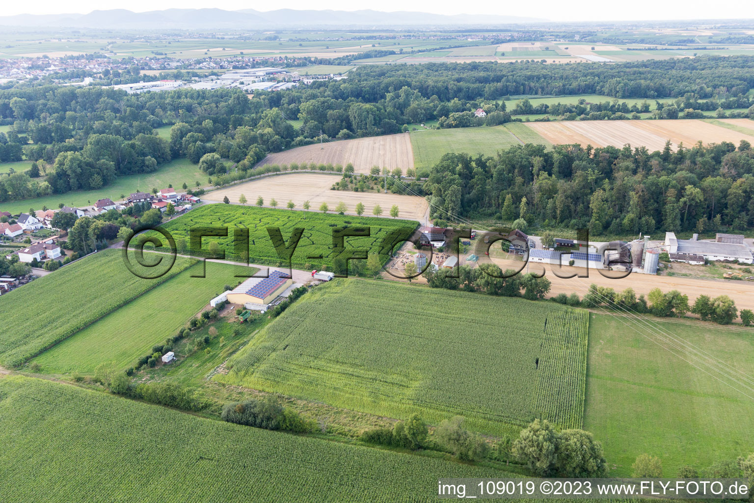 Steinweiler, Maislabyrinth am Seehof im Bundesland Rheinland-Pfalz, Deutschland