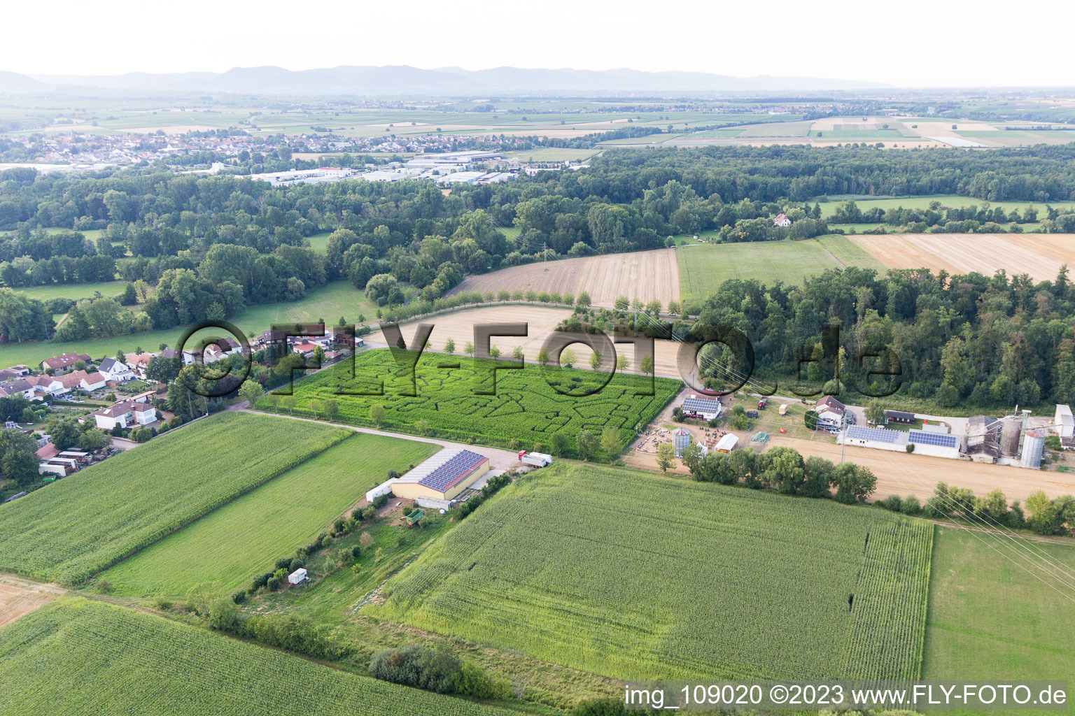 Luftbild von Steinweiler, Maislabyrinth am Seehof im Bundesland Rheinland-Pfalz, Deutschland