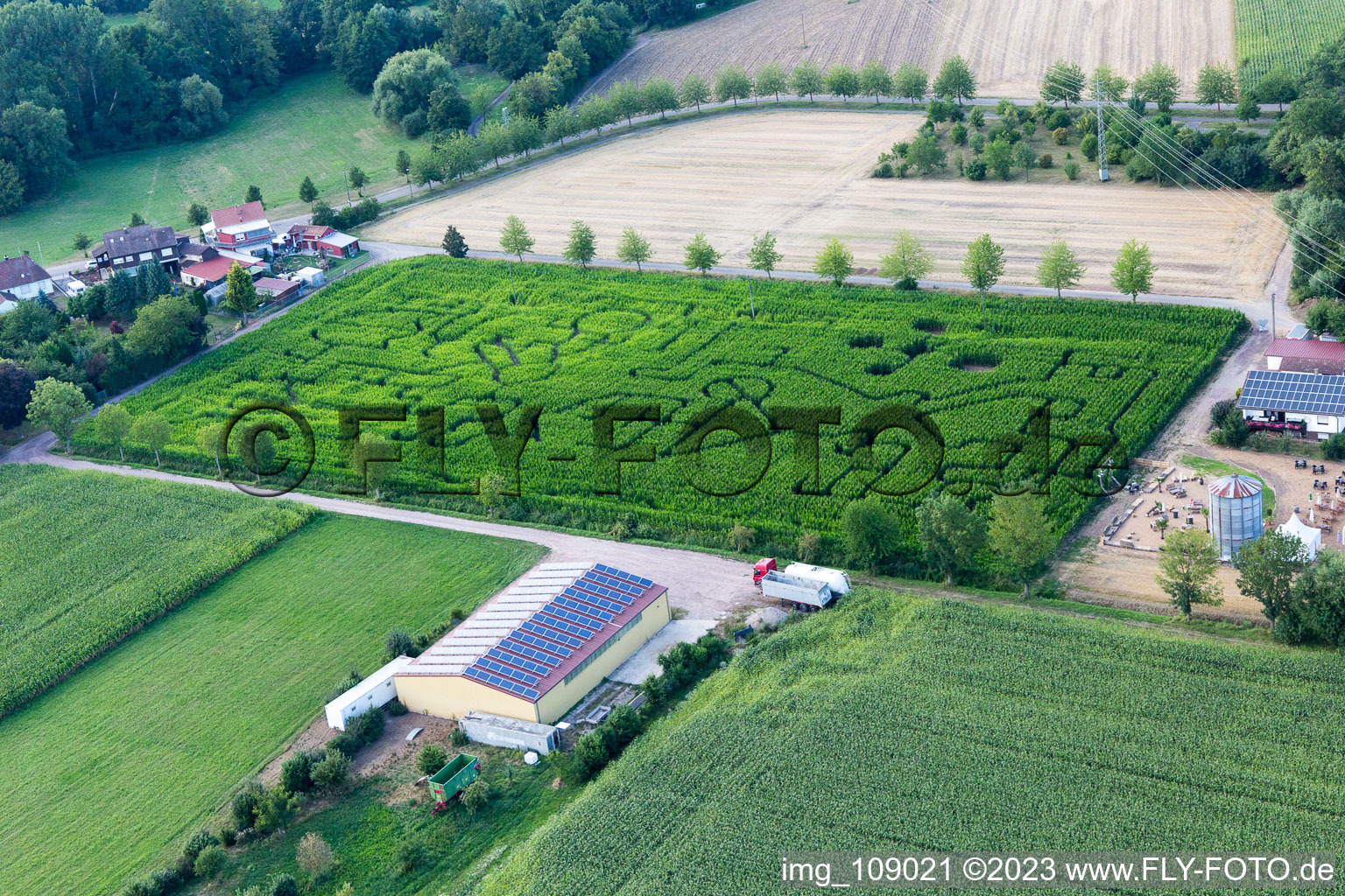 Luftaufnahme von Steinweiler, Maislabyrinth am Seehof im Bundesland Rheinland-Pfalz, Deutschland
