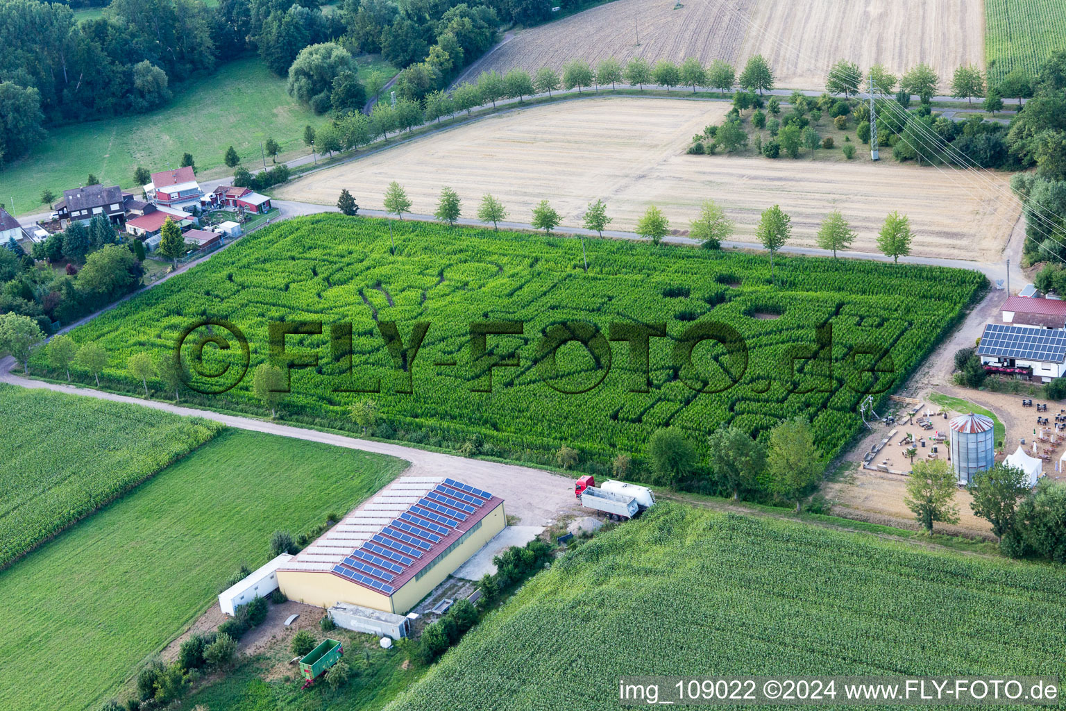 Irrgarten - Labyrinth auf einem Mais-Feld des Seehof in Steinweiler im Bundesland Rheinland-Pfalz, Deutschland