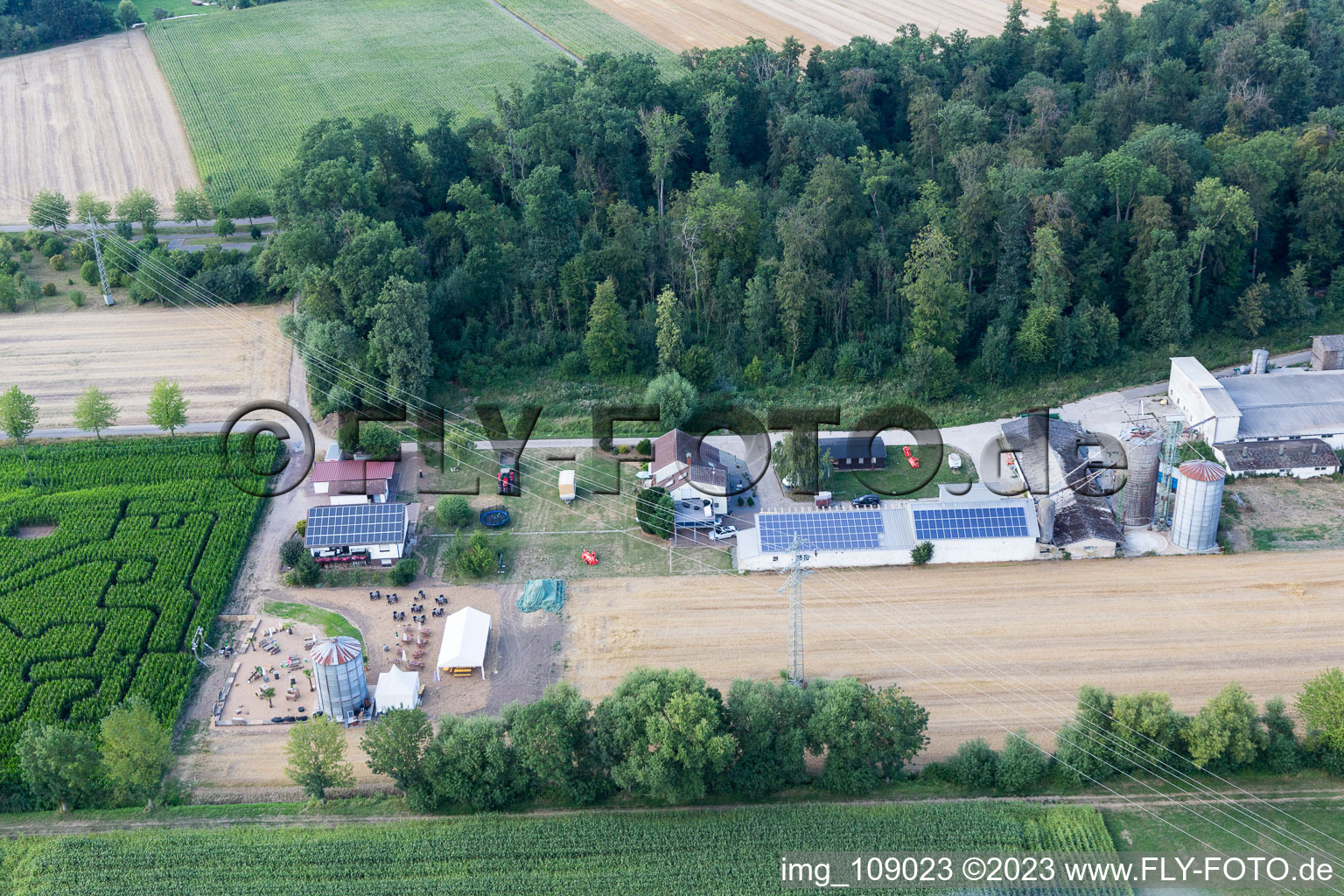 Schrägluftbild von Steinweiler, Maislabyrinth am Seehof im Bundesland Rheinland-Pfalz, Deutschland