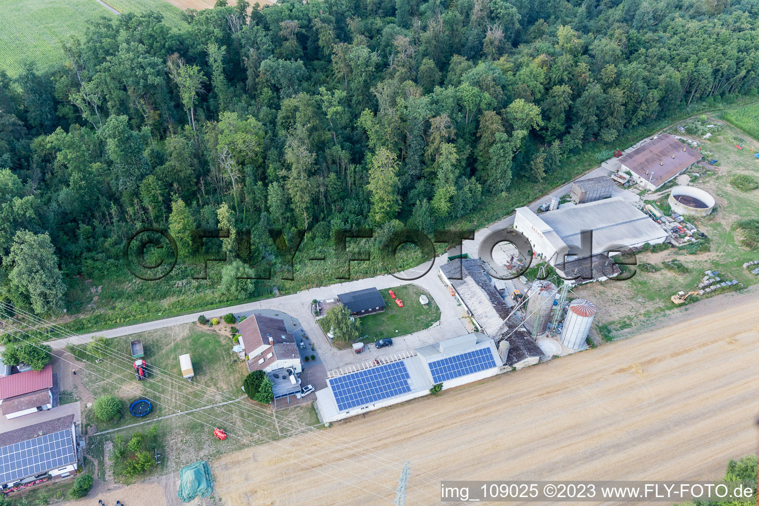 Steinweiler, Maislabyrinth am Seehof im Bundesland Rheinland-Pfalz, Deutschland aus der Luft
