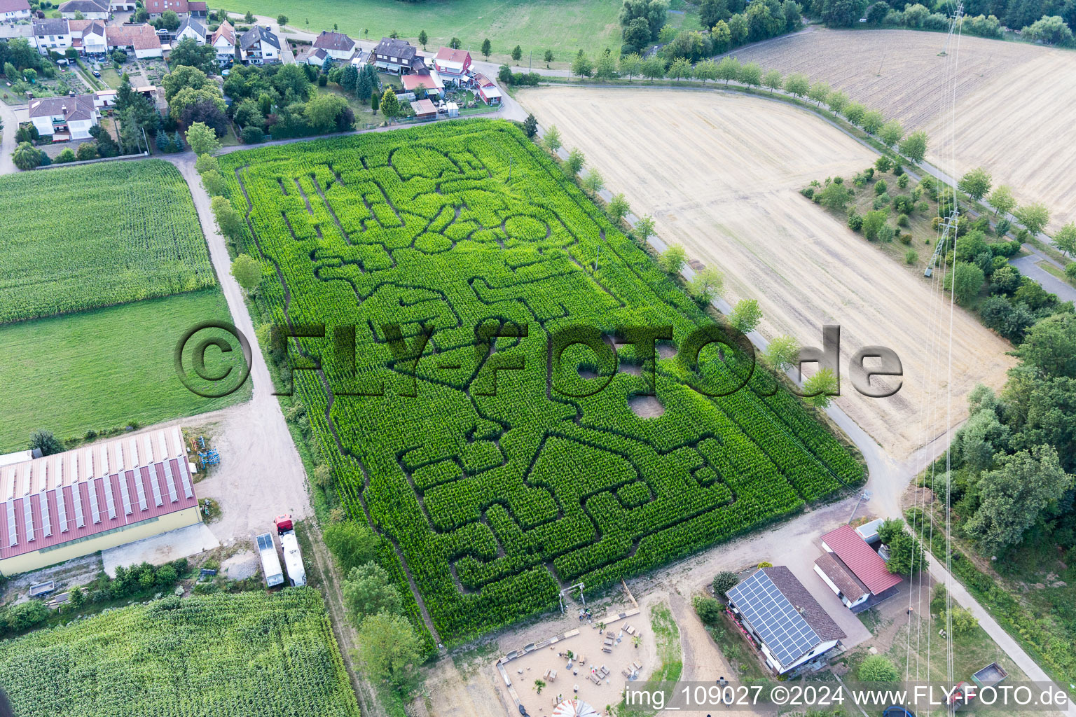 Luftbild von Irrgarten - Labyrinth auf einem Mais-Feld des Seehof in Steinweiler im Bundesland Rheinland-Pfalz, Deutschland