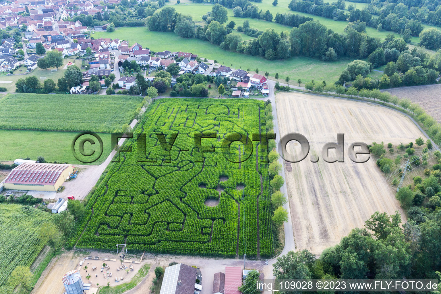 Steinweiler, Maislabyrinth am Seehof im Bundesland Rheinland-Pfalz, Deutschland vom Flugzeug aus