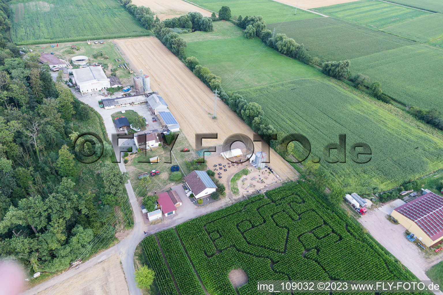 Steinweiler, Maislabyrinth am Seehof im Bundesland Rheinland-Pfalz, Deutschland aus der Vogelperspektive