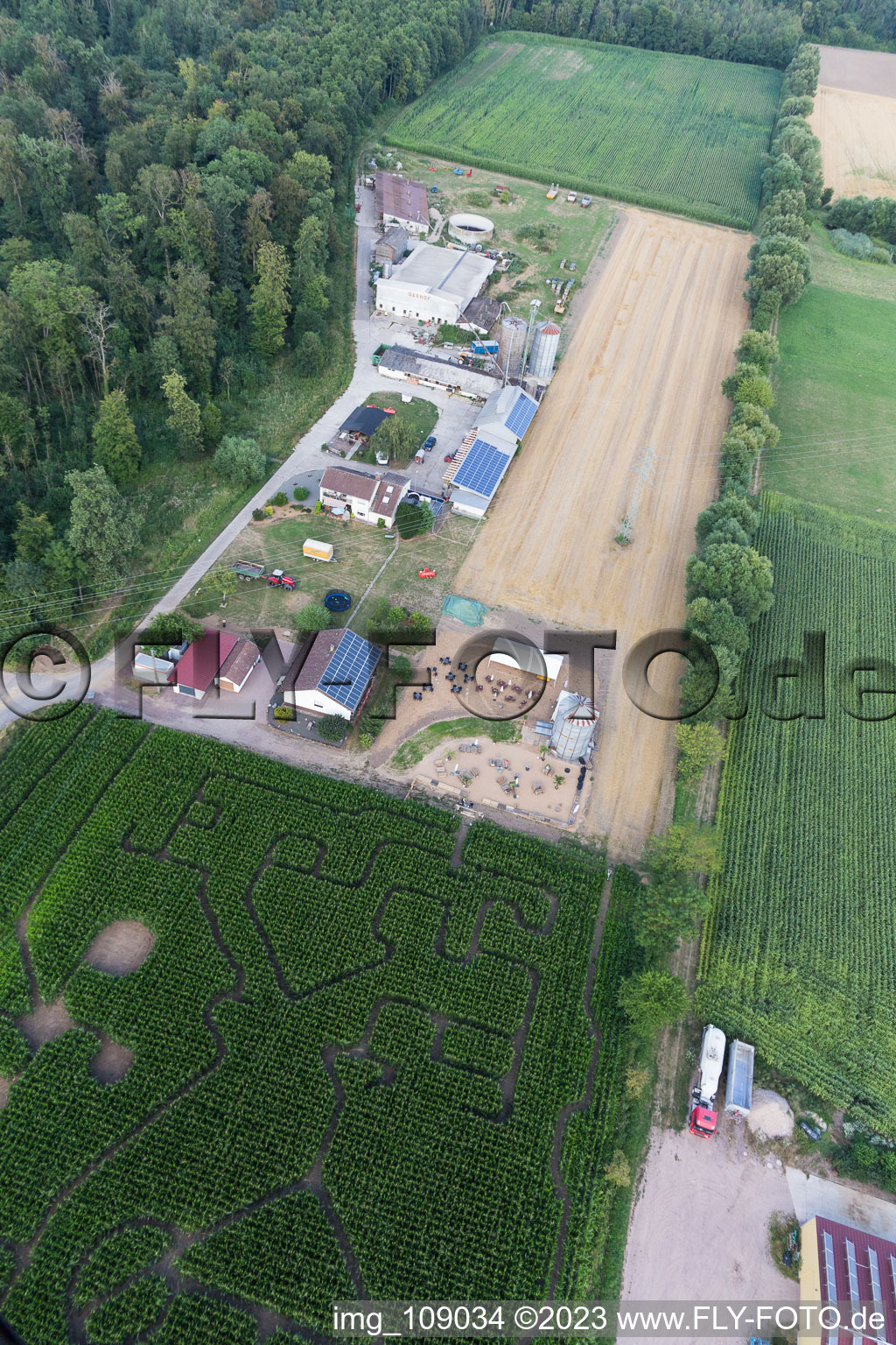 Steinweiler, Maislabyrinth am Seehof im Bundesland Rheinland-Pfalz, Deutschland aus der Luft betrachtet