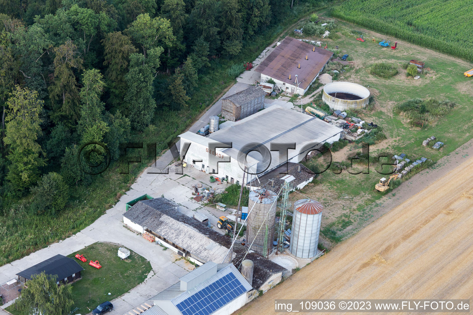 Drohnenbild von Steinweiler, Maislabyrinth am Seehof im Bundesland Rheinland-Pfalz, Deutschland