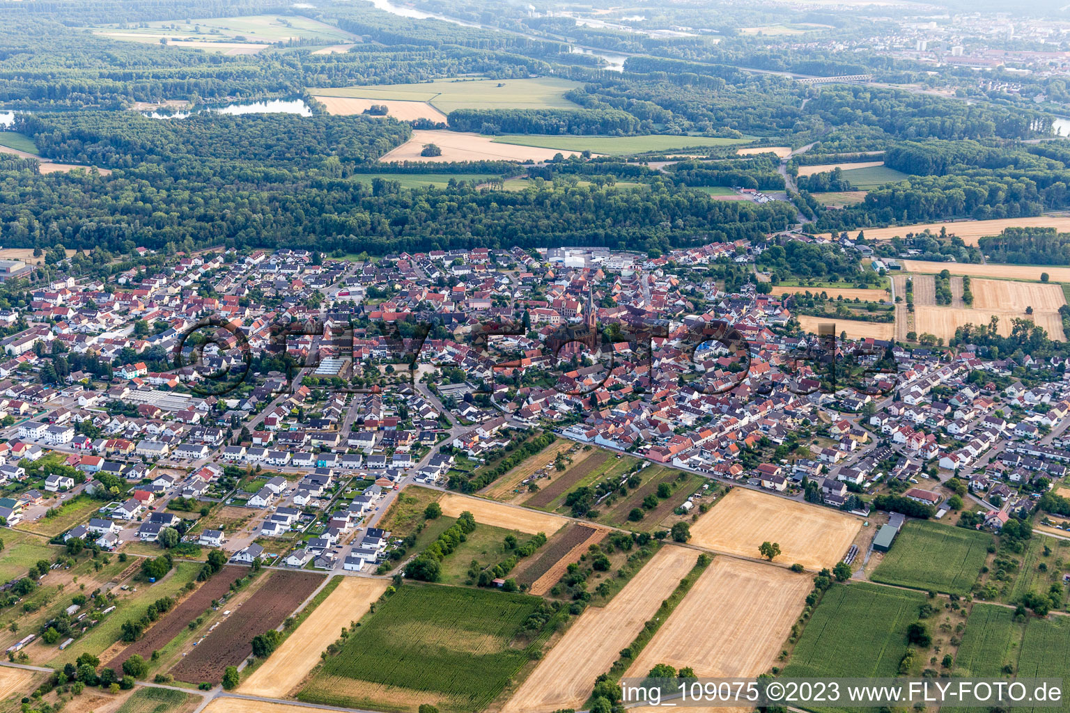 Schrägluftbild von Von Nordosten im Ortsteil Rheinsheim in Philippsburg im Bundesland Baden-Württemberg, Deutschland