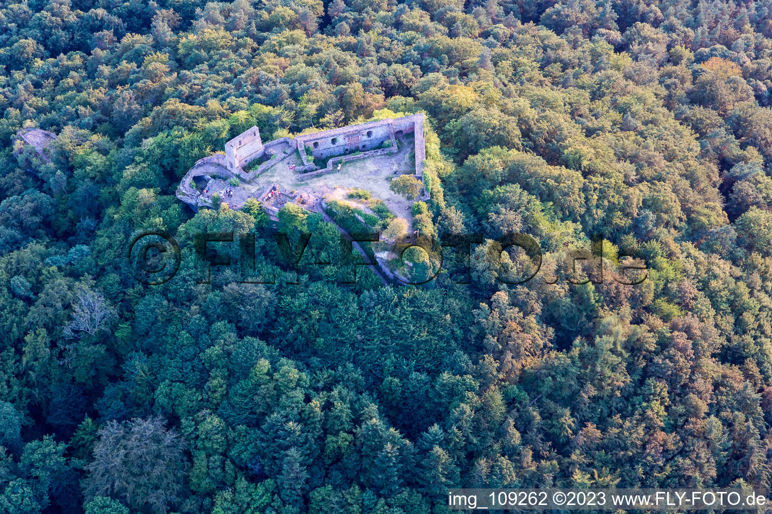 Luftbild von Vorderweidenthal, Ruine Lindelbrunn im Bundesland Rheinland-Pfalz, Deutschland