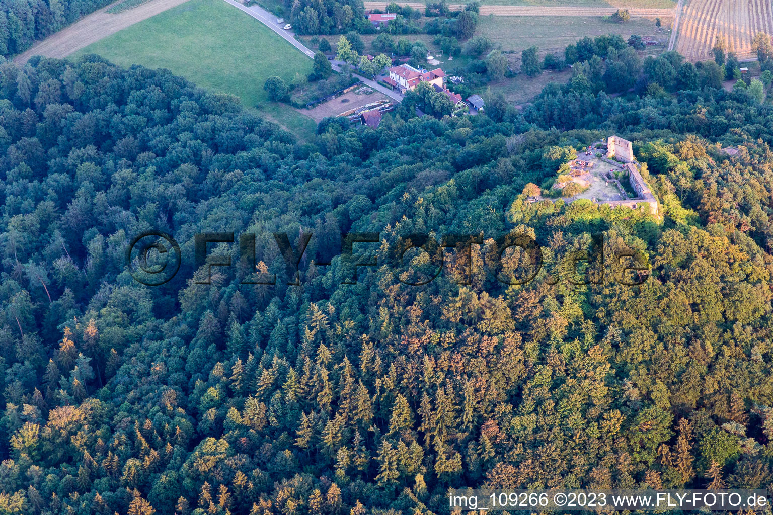 Vorderweidenthal, Ruine Lindelbrunn im Bundesland Rheinland-Pfalz, Deutschland von oben