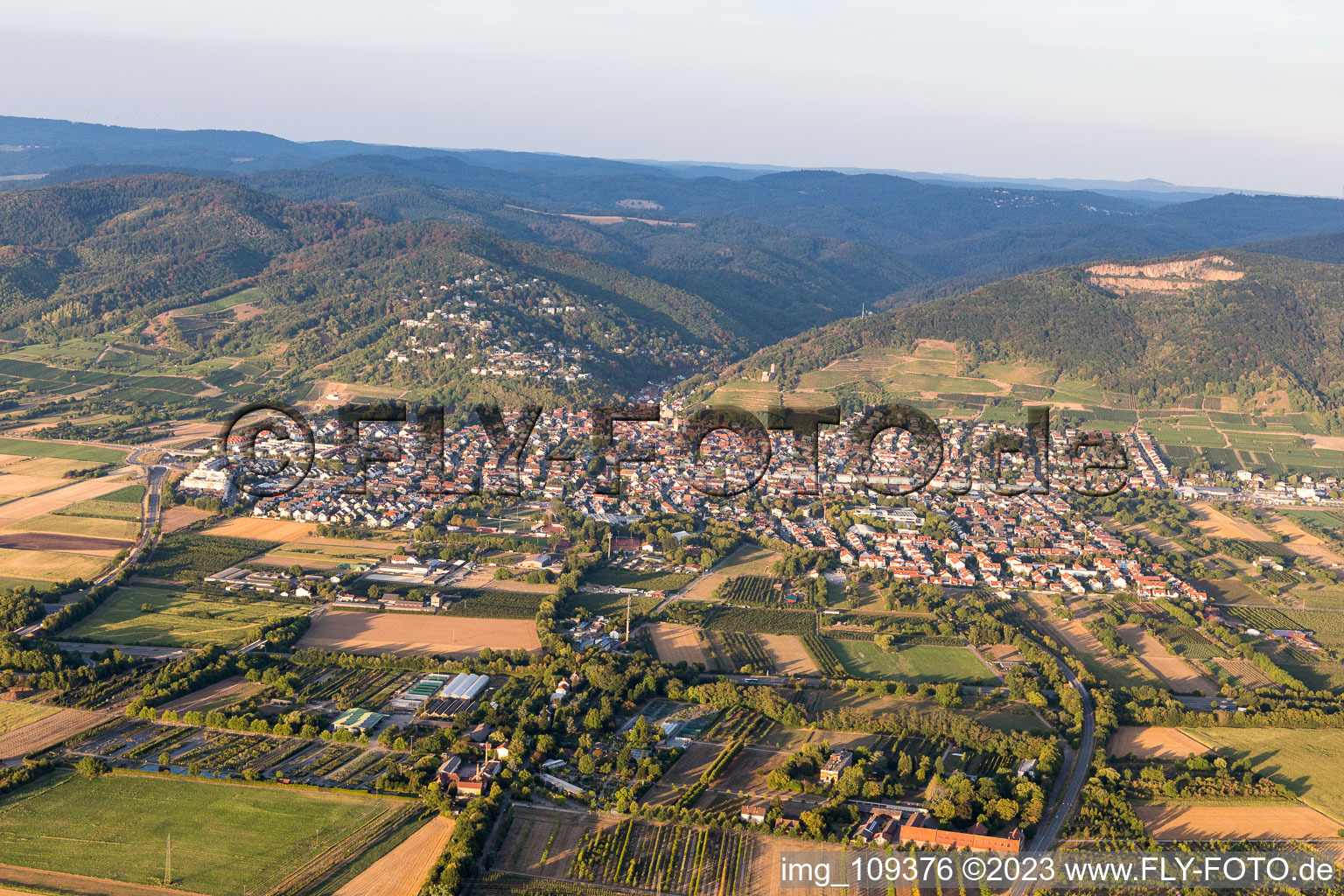 Schriesheim im Bundesland Baden-Württemberg, Deutschland aus der Luft betrachtet