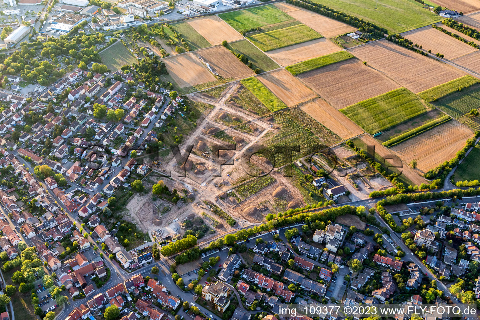 Luftbild von Ladenburg im Bundesland Baden-Württemberg, Deutschland