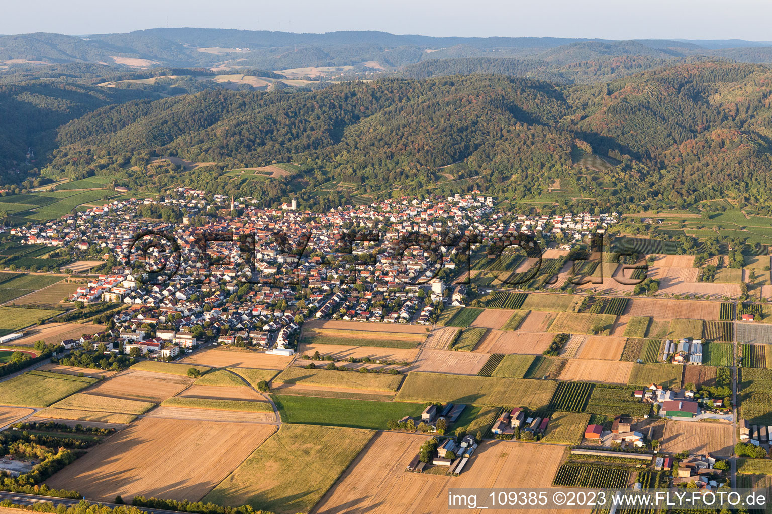Schriesheim im Bundesland Baden-Württemberg, Deutschland aus der Drohnenperspektive