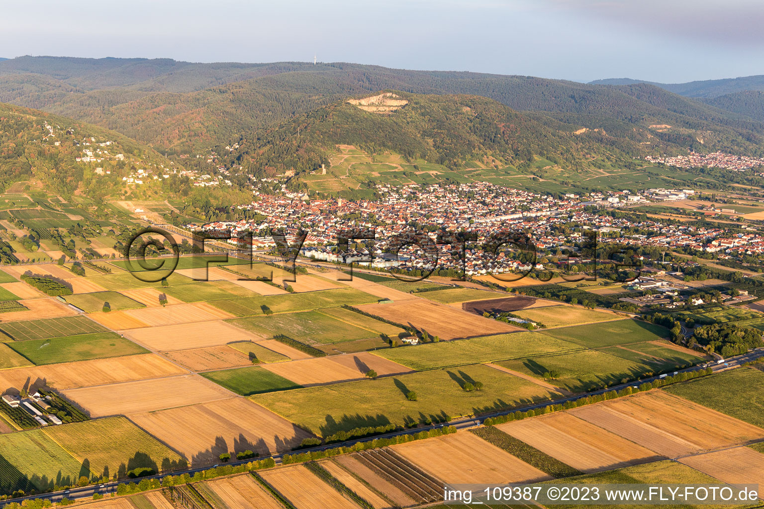 Schriesheim im Bundesland Baden-Württemberg, Deutschland von einer Drohne aus