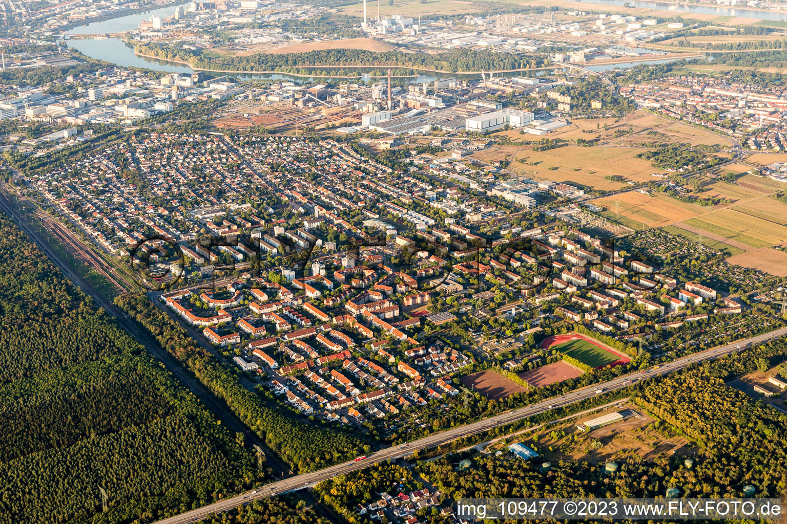 Ortsteil Schönau in Mannheim im Bundesland Baden-Württemberg, Deutschland von oben gesehen