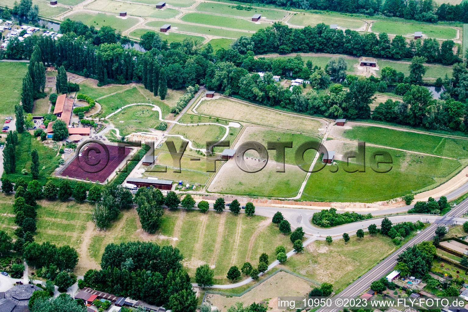 Rülzheim, Straussenfarm im Bundesland Rheinland-Pfalz, Deutschland