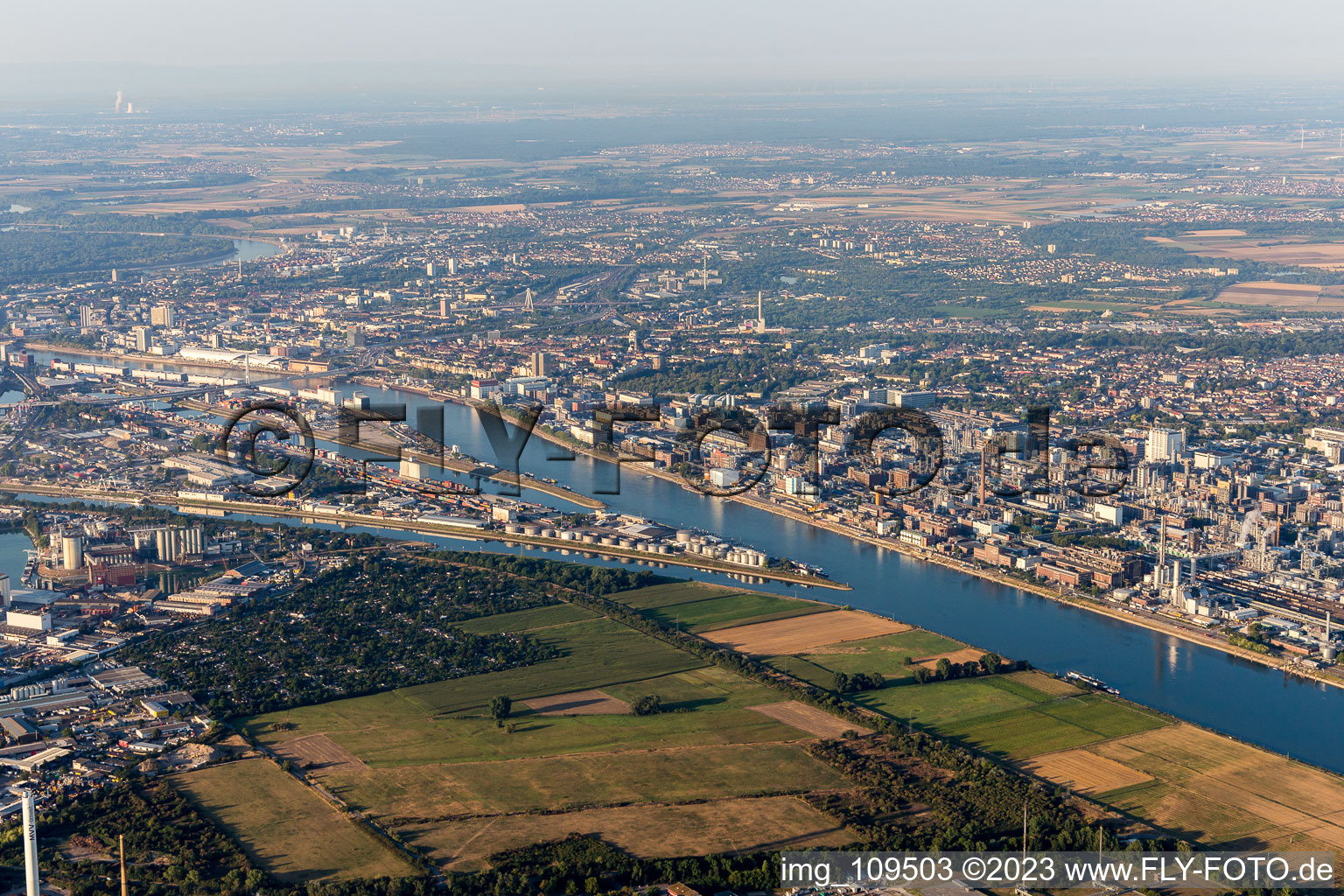Ortsteil BASF in Ludwigshafen am Rhein im Bundesland Rheinland-Pfalz, Deutschland aus der Drohnenperspektive