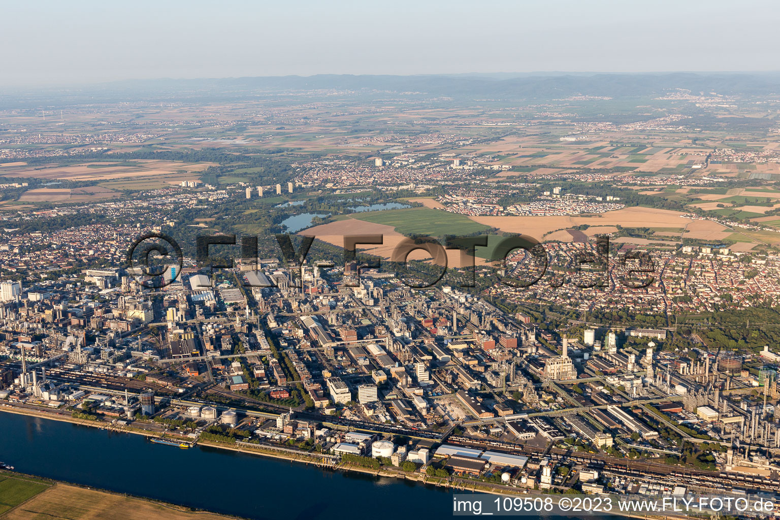 Luftbild von Ortsteil BASF in Ludwigshafen am Rhein im Bundesland Rheinland-Pfalz, Deutschland