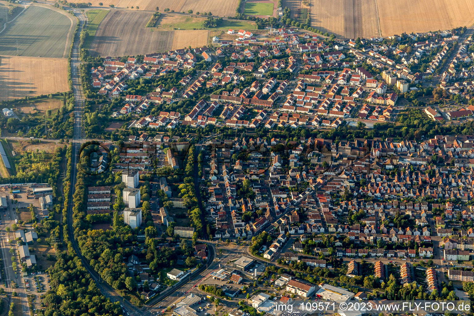 Ortsteil Gartenstadt in Ludwigshafen am Rhein im Bundesland Rheinland-Pfalz, Deutschland aus der Luft