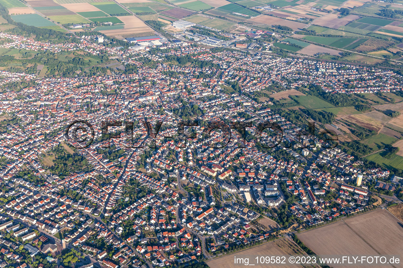 Schifferstadt im Bundesland Rheinland-Pfalz, Deutschland aus der Vogelperspektive