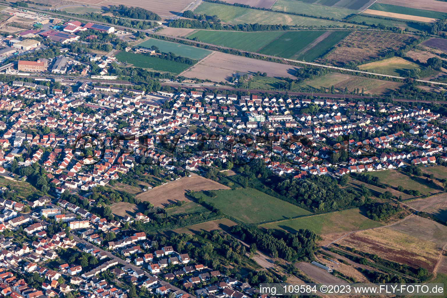 Schifferstadt im Bundesland Rheinland-Pfalz, Deutschland aus der Luft betrachtet