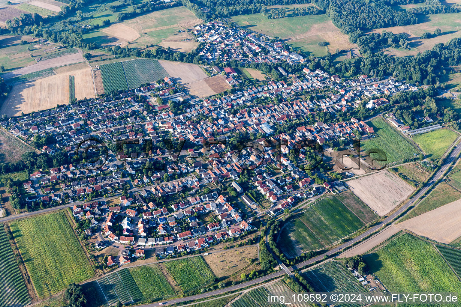 Luftbild von Hanhofen im Bundesland Rheinland-Pfalz, Deutschland