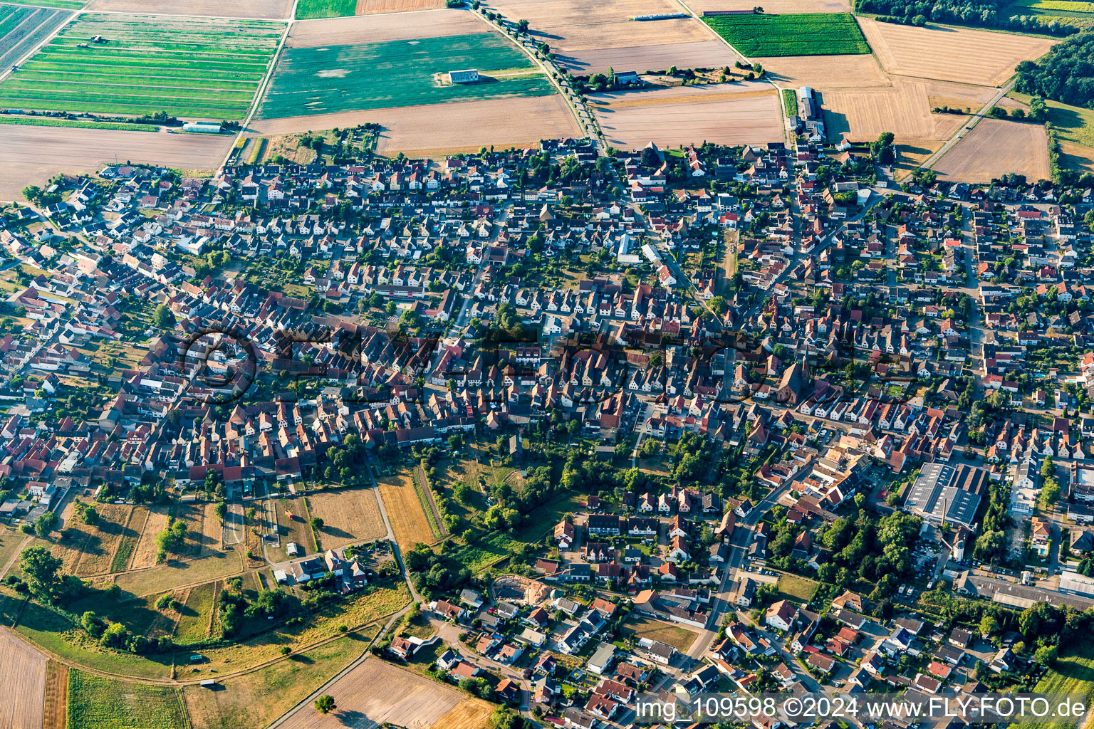 Ortsansicht am Rande von landwirtschaftlichen Feldern und Nutzflächen in Harthausen im Bundesland Rheinland-Pfalz, Deutschland