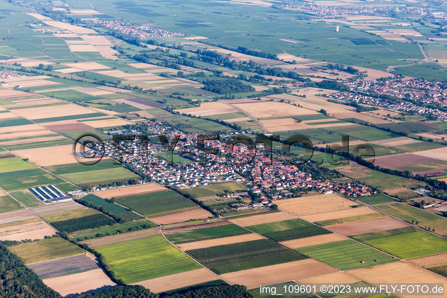 Gommersheim im Bundesland Rheinland-Pfalz, Deutschland aus der Vogelperspektive