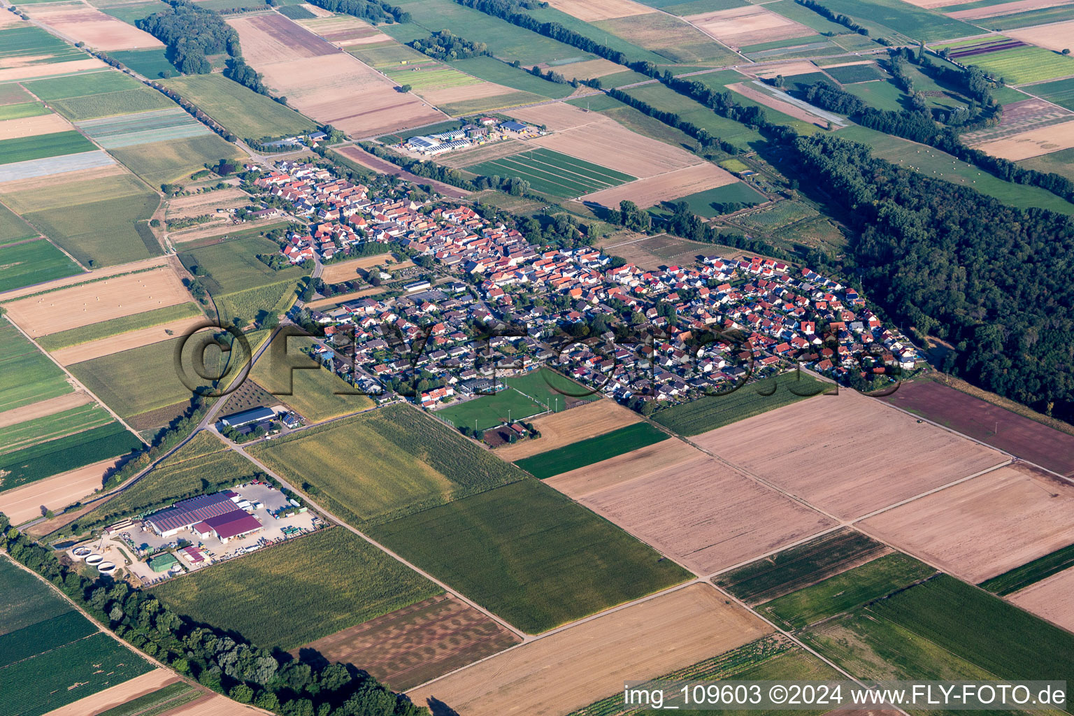 Luftbild von Dorf - Ansicht am Rande von landwirtschaftlichen Feldern und Nutzflächen in Freisbach im Bundesland Rheinland-Pfalz, Deutschland