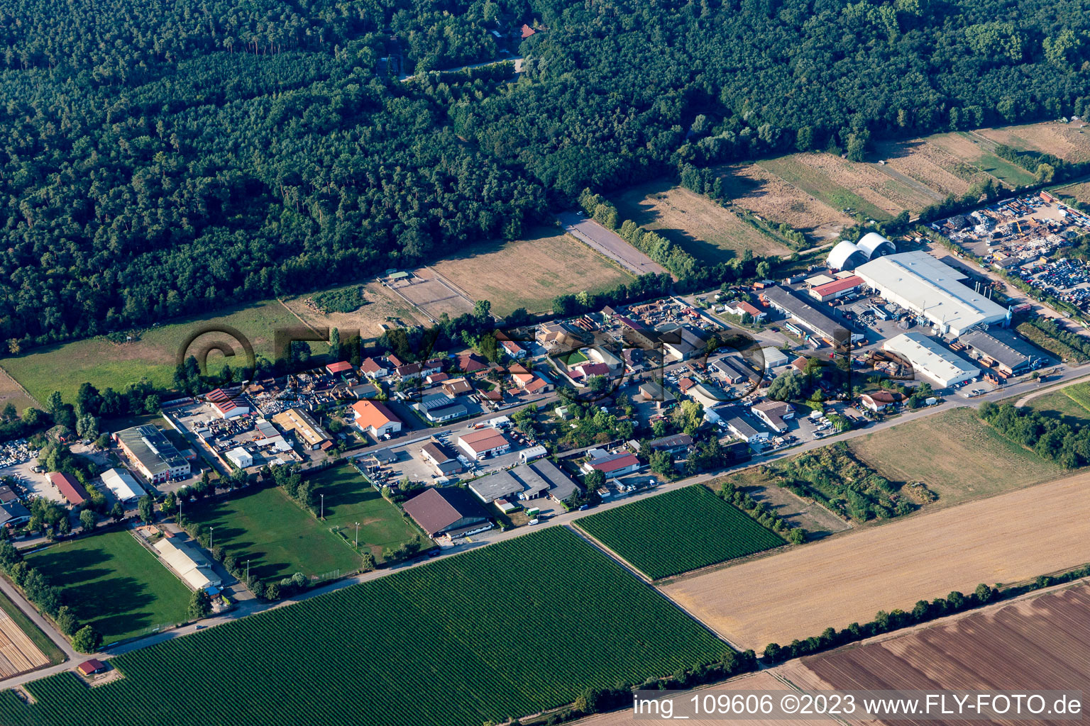 Luftbild von Niederlustadt im Bundesland Rheinland-Pfalz, Deutschland