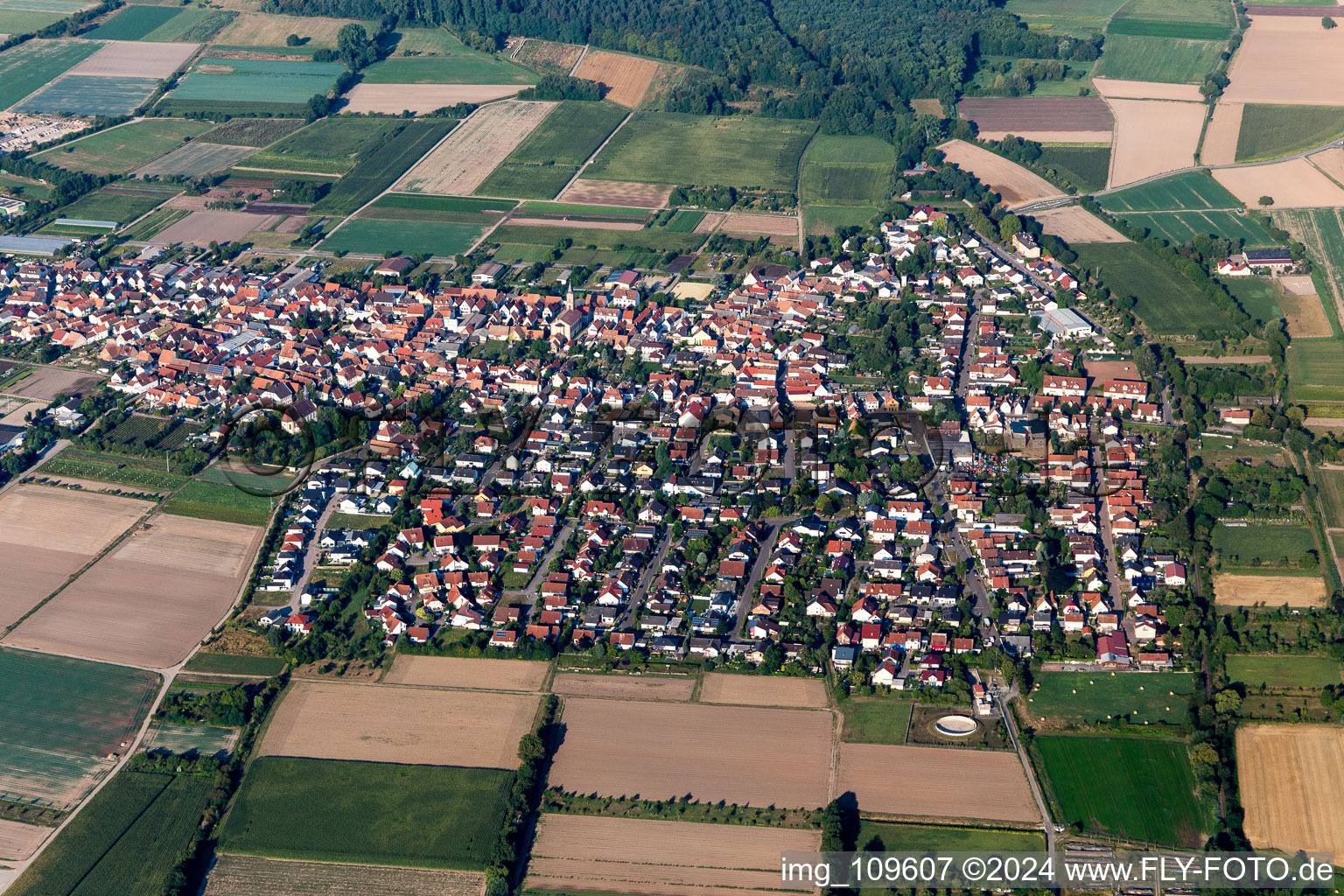 Ortsansicht am Rande von landwirtschaftlichen Feldern und Nutzflächen in Zeiskam im Bundesland Rheinland-Pfalz, Deutschland