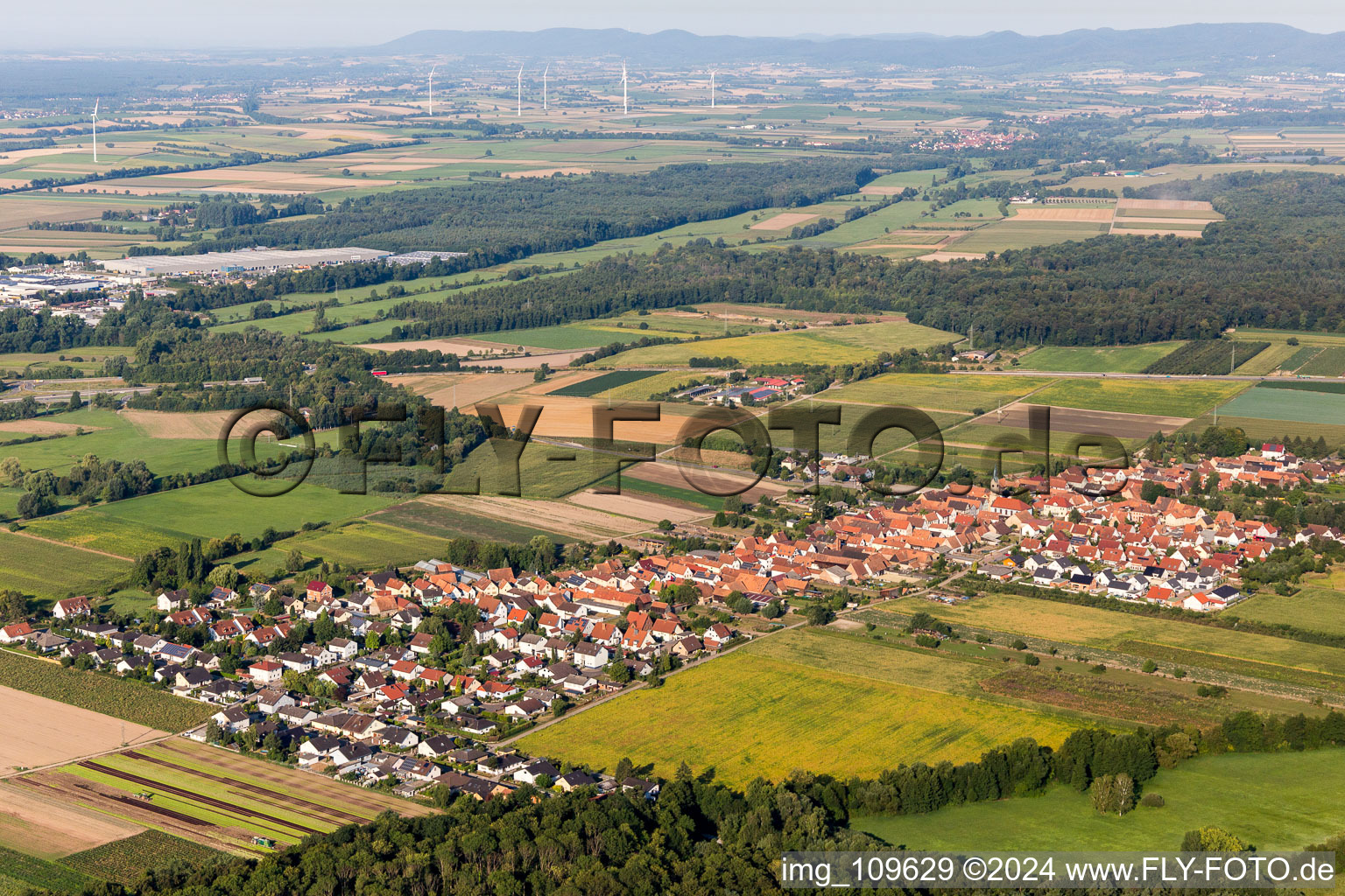 Von Nordosten in Erlenbach bei Kandel im Bundesland Rheinland-Pfalz, Deutschland