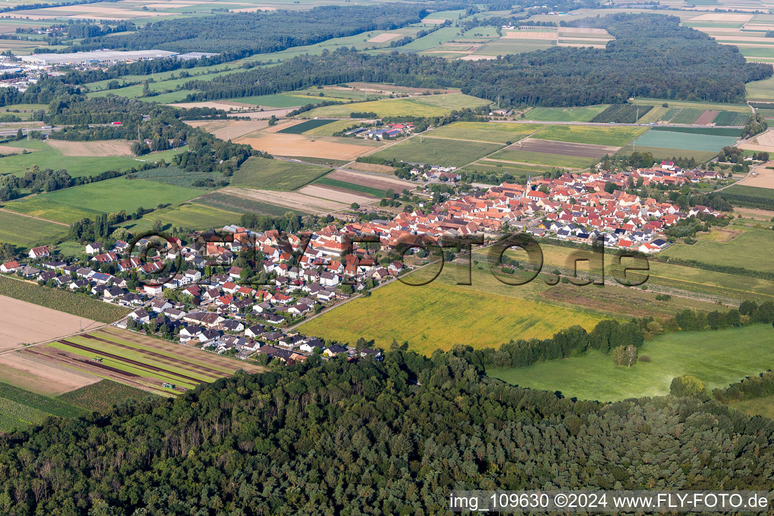 Luftbild von Von Nordosten in Erlenbach bei Kandel im Bundesland Rheinland-Pfalz, Deutschland
