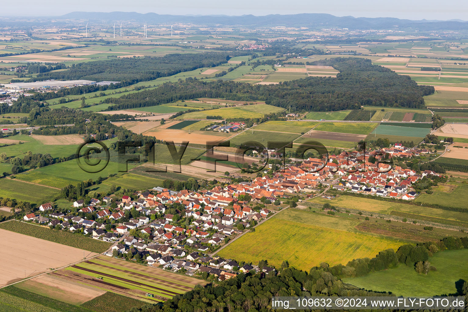 Luftaufnahme von Von Nordosten in Erlenbach bei Kandel im Bundesland Rheinland-Pfalz, Deutschland