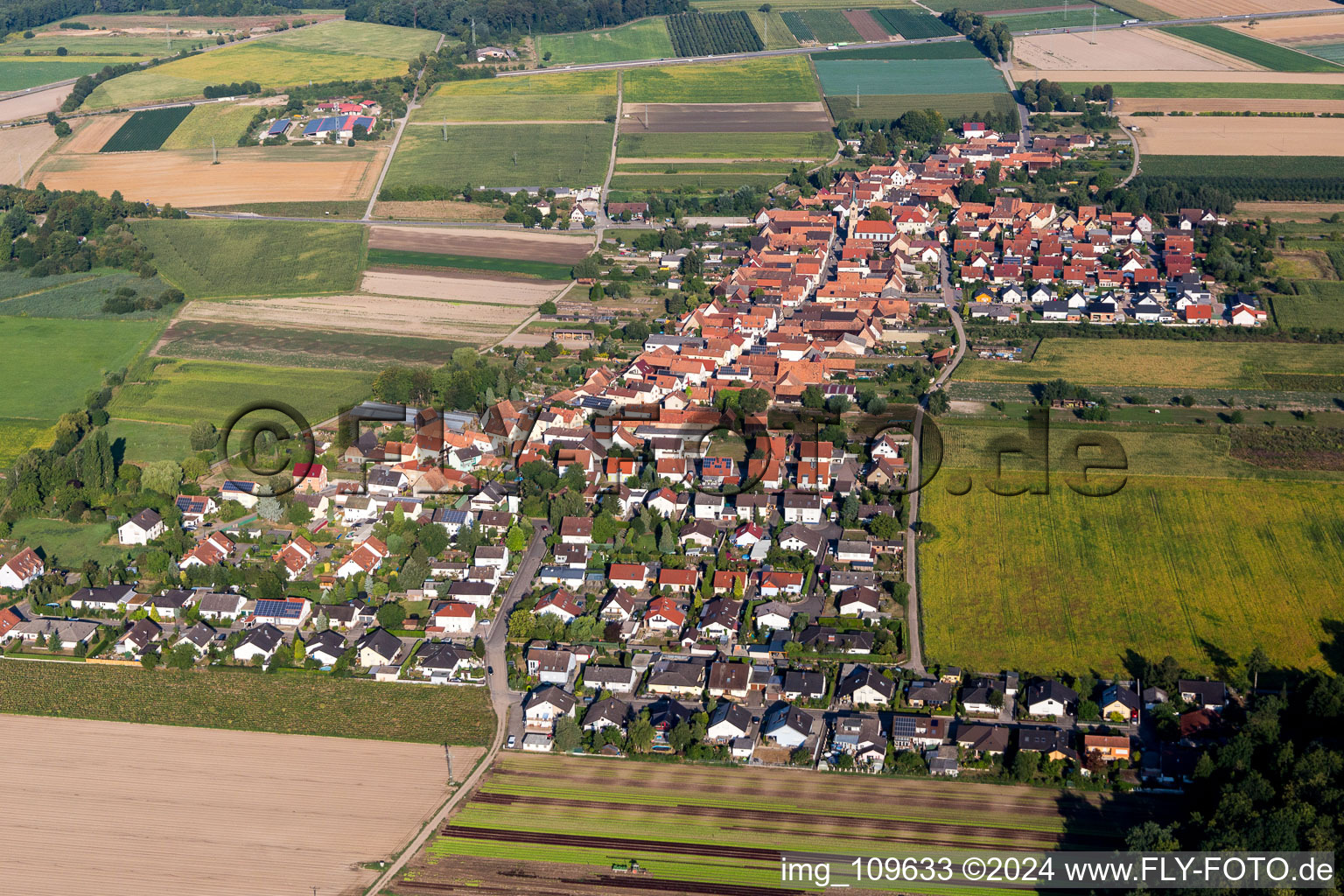 Schrägluftbild von Von Nordosten in Erlenbach bei Kandel im Bundesland Rheinland-Pfalz, Deutschland