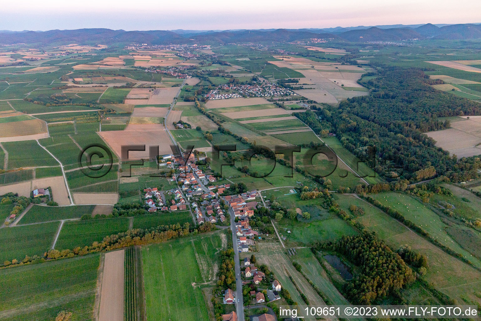 Hergersweiler im Bundesland Rheinland-Pfalz, Deutschland aus der Vogelperspektive