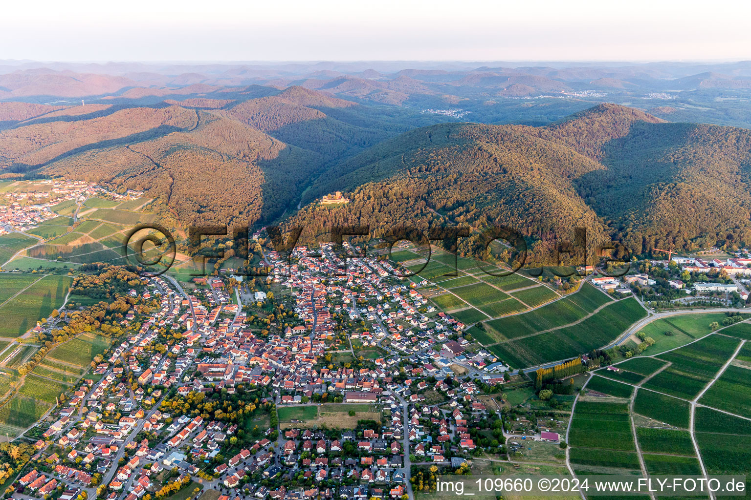 Klingenmünster im Bundesland Rheinland-Pfalz, Deutschland von oben