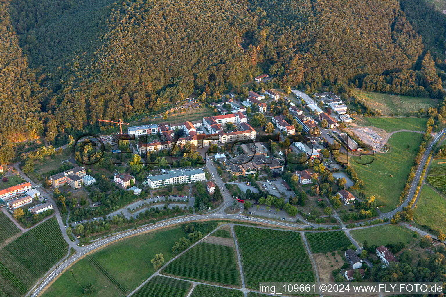 Luftbild von Psyschatrische Landesklinik in Klingenmünster im Bundesland Rheinland-Pfalz, Deutschland