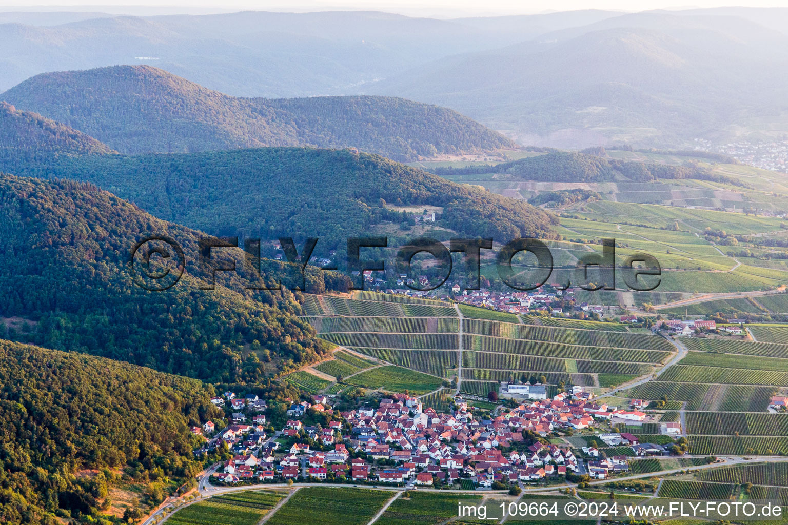 Klingenmünster im Bundesland Rheinland-Pfalz, Deutschland aus der Luft