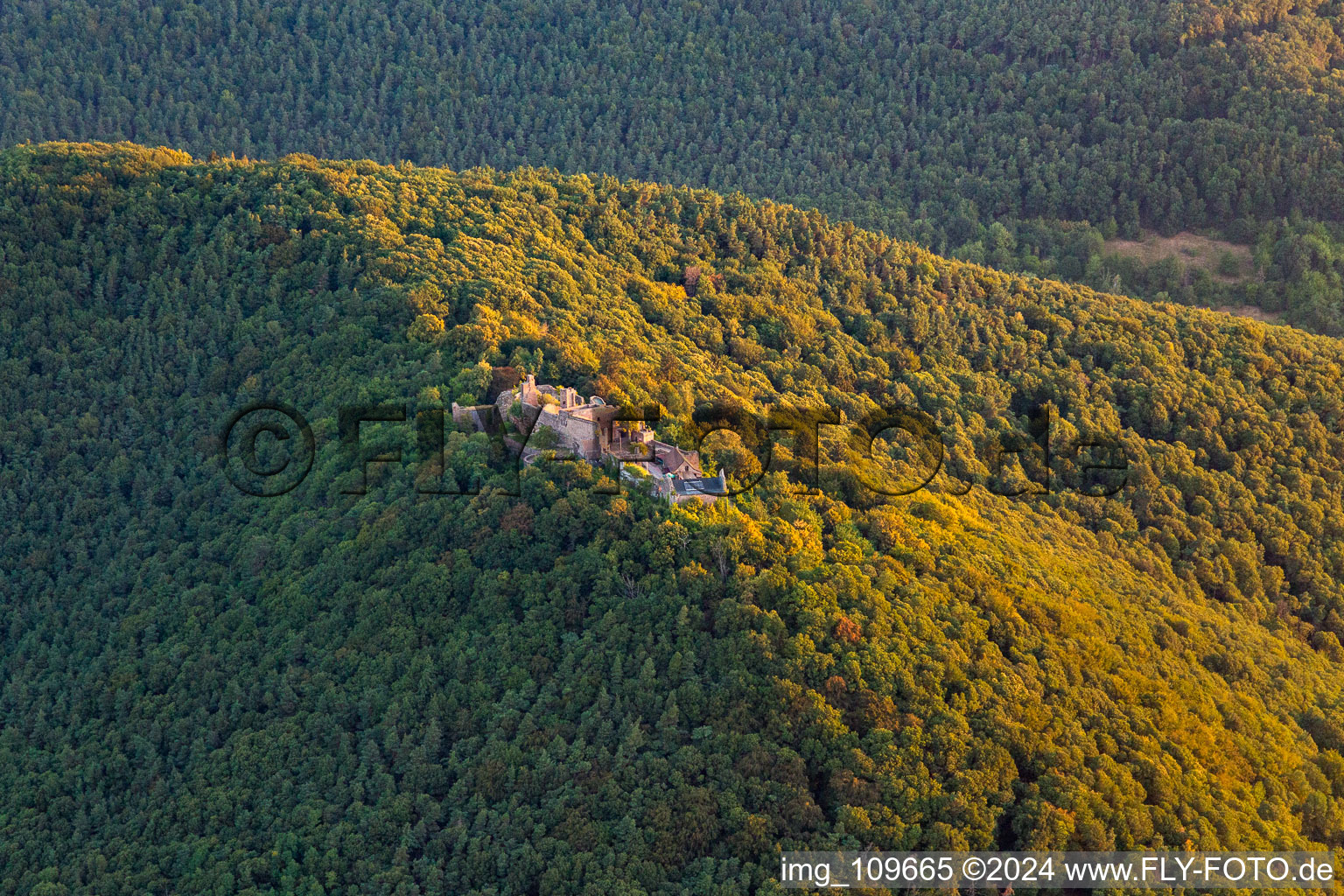 Burgruine Madenburg in Eschbach im Bundesland Rheinland-Pfalz, Deutschland