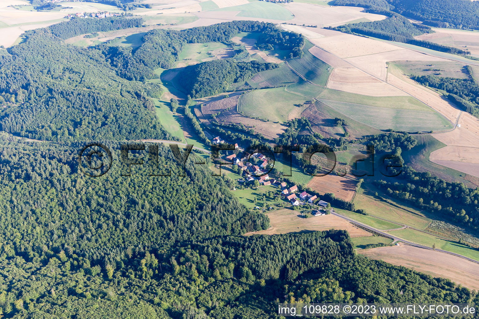 Gehrweiler im Bundesland Rheinland-Pfalz, Deutschland von oben