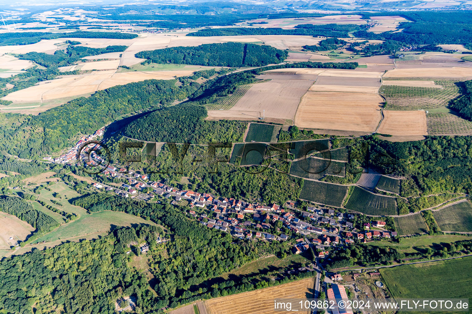 Weinberge am Rand des Dorfes in Raumbach im Bundesland Rheinland-Pfalz, Deutschland