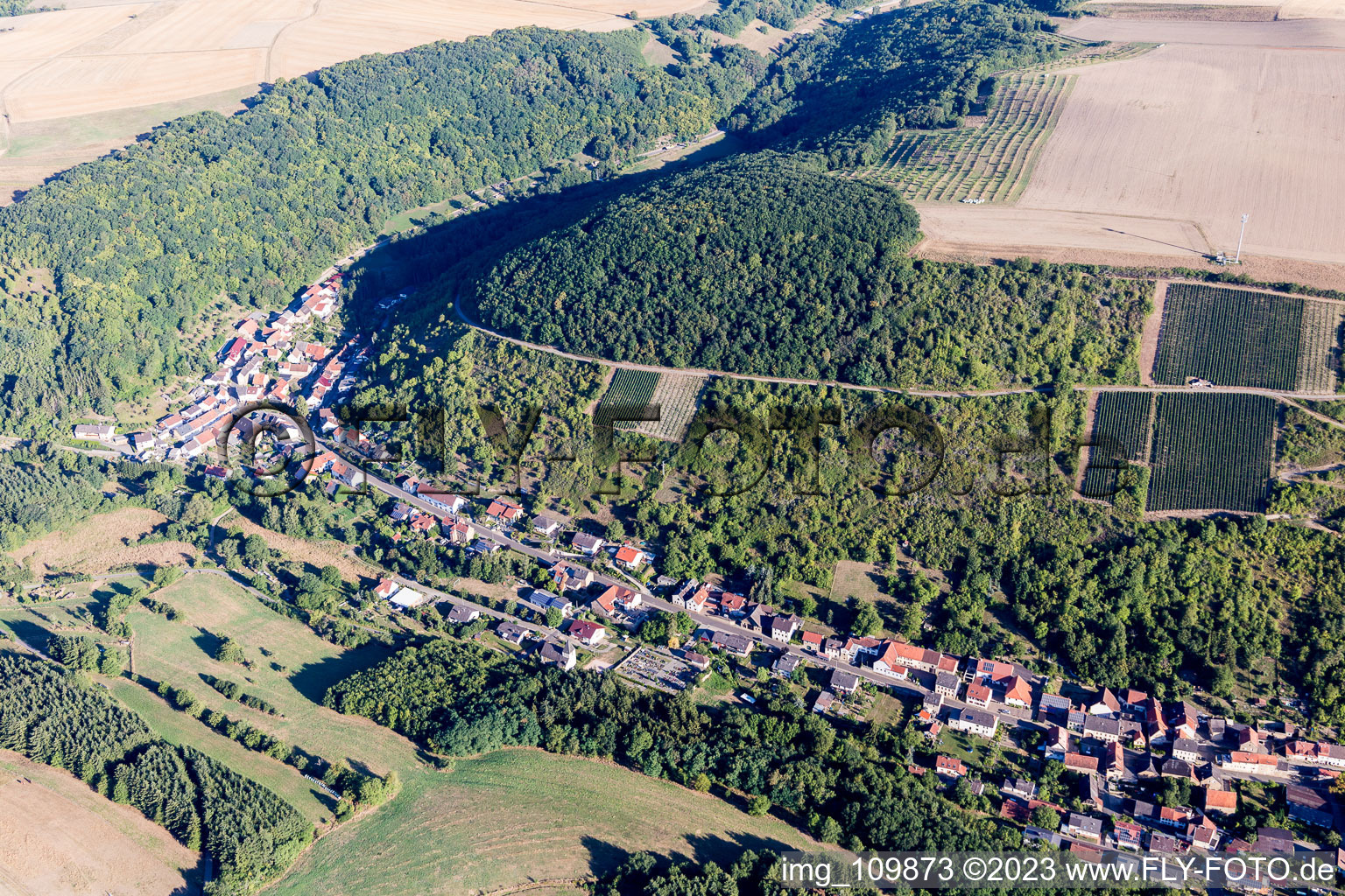 Luftbild von Raumbach im Bundesland Rheinland-Pfalz, Deutschland