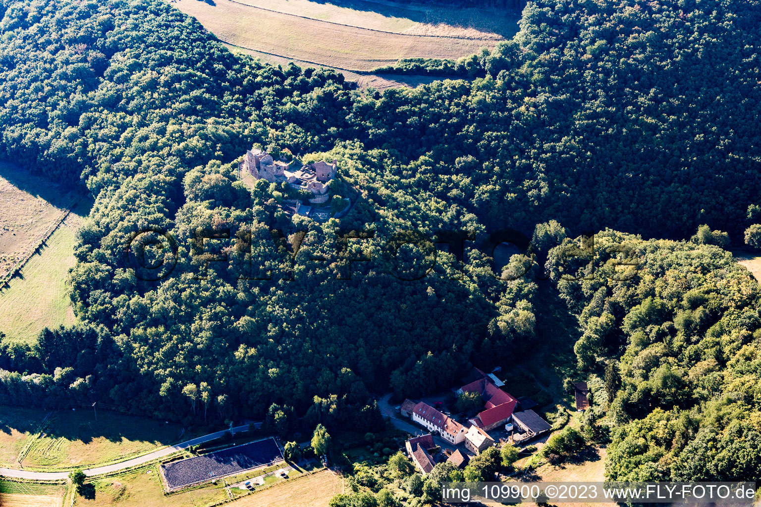 Luftbild von Burgruine Montfort in Hallgarten im Bundesland Rheinland-Pfalz, Deutschland