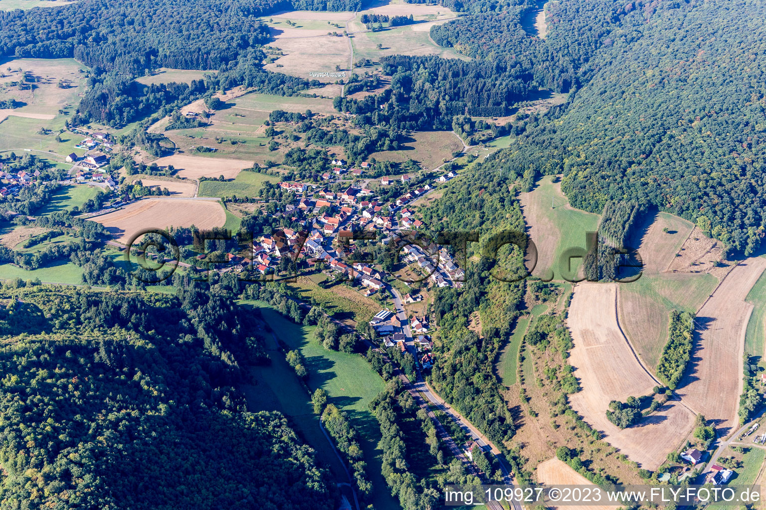 Mannweiler-Cölln im Bundesland Rheinland-Pfalz, Deutschland von oben