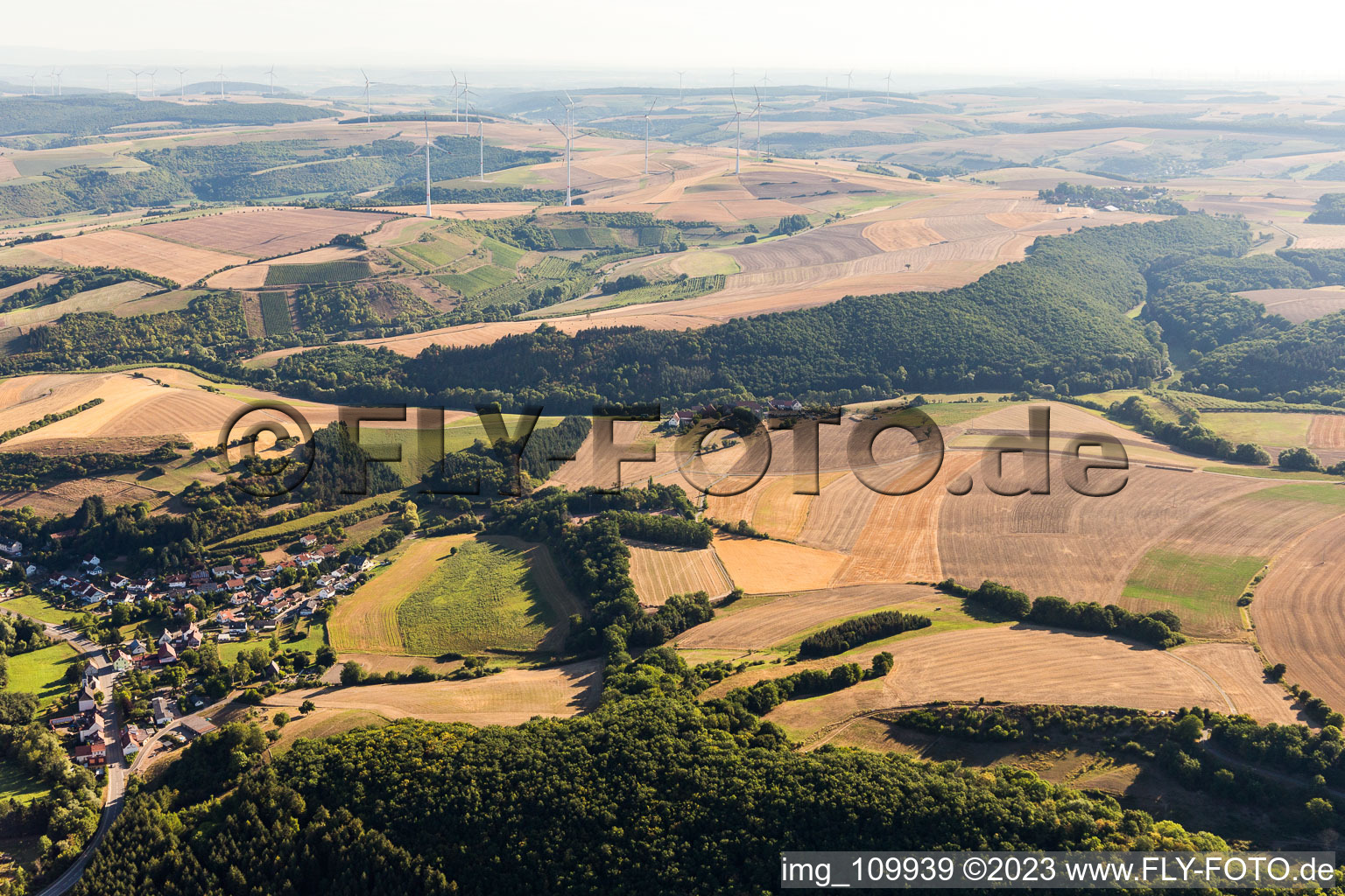 Mannweiler-Cölln im Bundesland Rheinland-Pfalz, Deutschland von einer Drohne aus