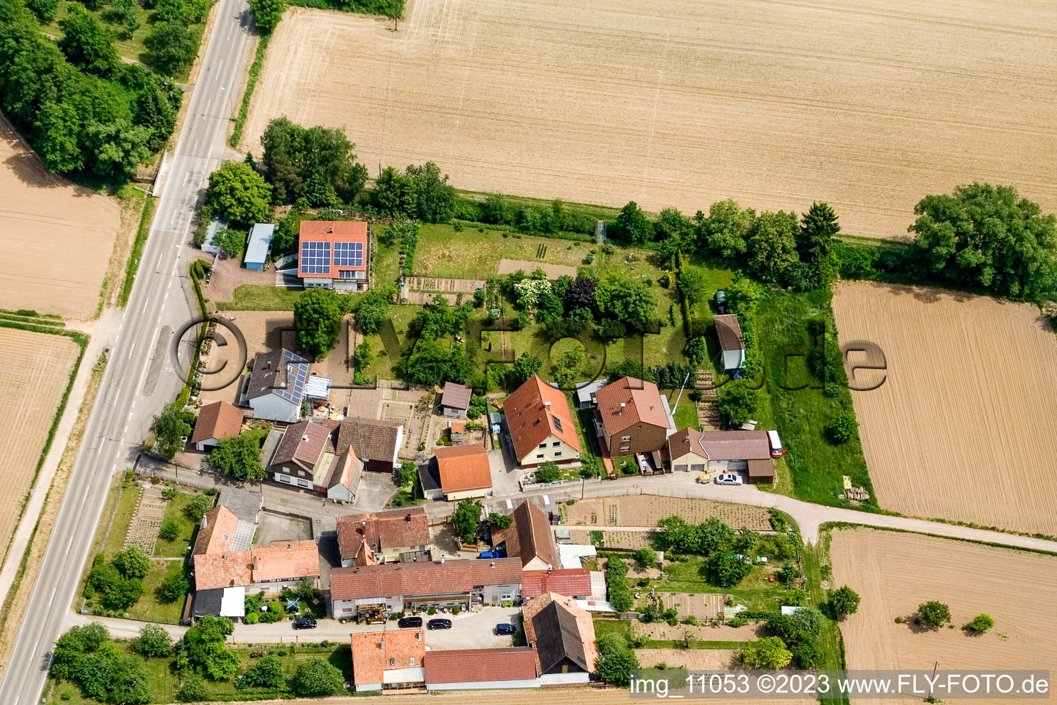 Luftbild von Minfeld, Welschhof von Westen im Bundesland Rheinland-Pfalz, Deutschland