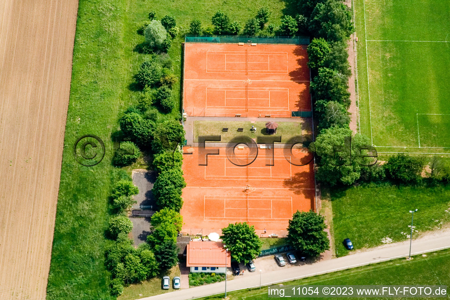 Minfeld, Tennisclub im Bundesland Rheinland-Pfalz, Deutschland