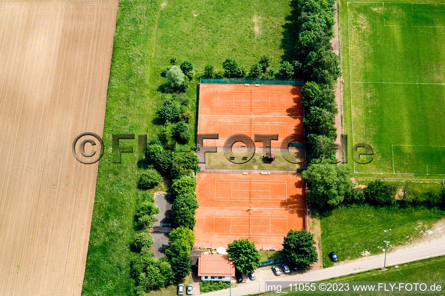 Luftbild von Minfeld, Tennisclub im Bundesland Rheinland-Pfalz, Deutschland