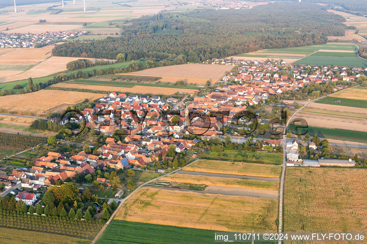 Von Nordosten in Erlenbach bei Kandel im Bundesland Rheinland-Pfalz, Deutschland von oben